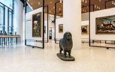 The American Kennel Club / Museum of the Dog